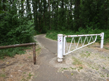 Start of trail on Willamette River side of park - hard surface - park maintenance gate - path transition has a lip